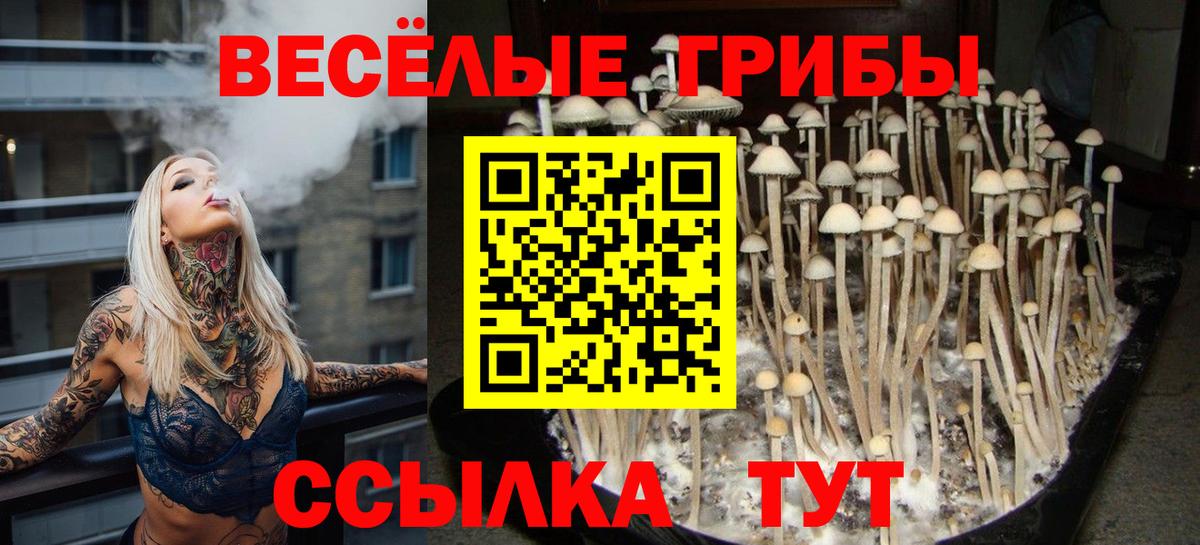 Омск  Галлюциногенные грибы мухоморы  Вход с VPN  Псилоцибиновые грибы Psilocybe 